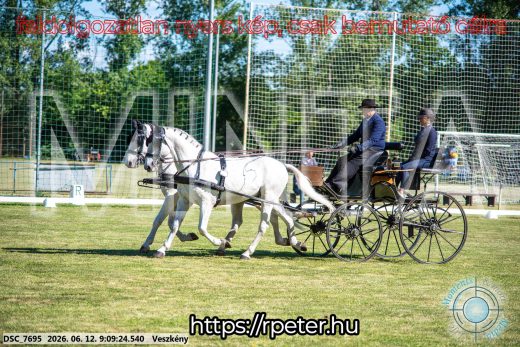Mintakép 20260612-40