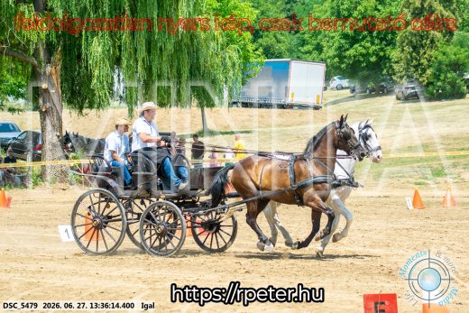 Mintakép 20260627-2052
