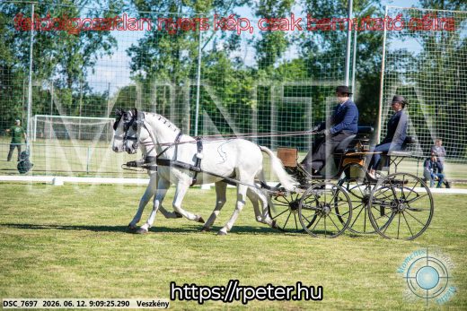 Mintakép 20260612-42