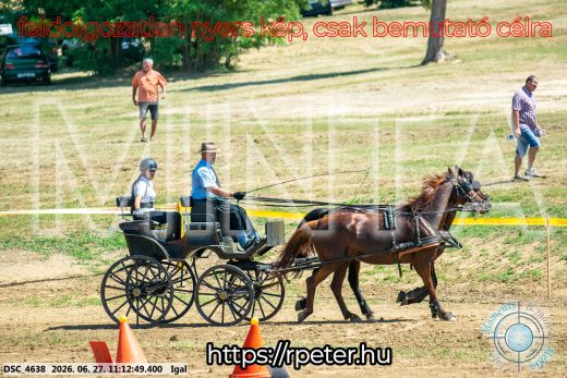 20260627-111249-DSC_4638.jpg