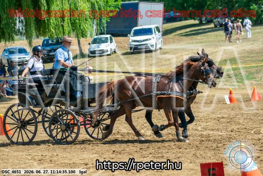 Mintakép 20260627-2069
