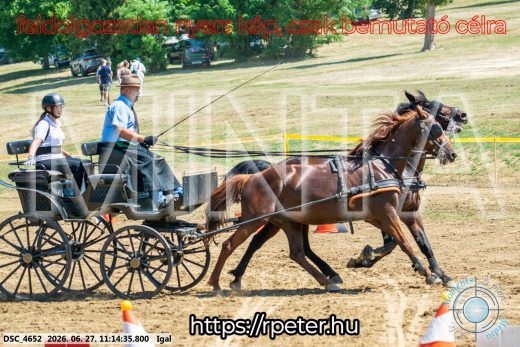 Mintakép 20260627-2070