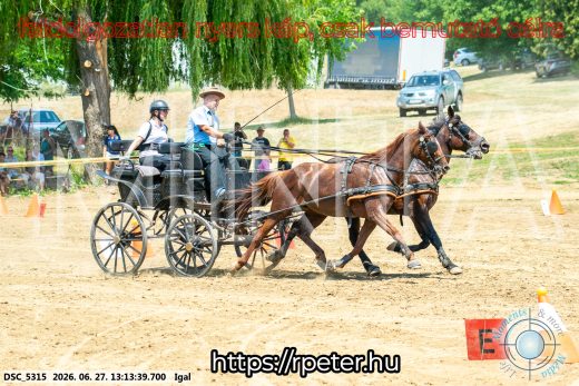 Mintakép 20260627-2086