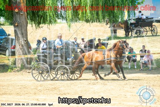 Mintakép 20260627-2091