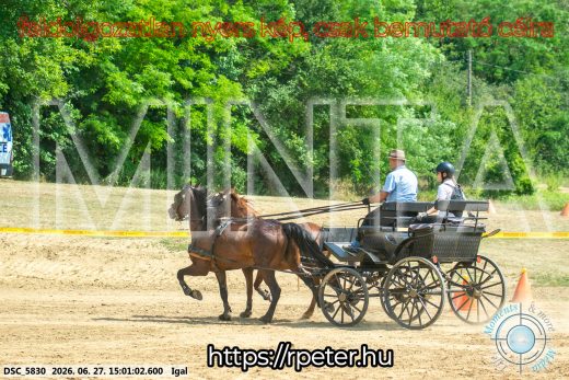 Mintakép 20260627-2093