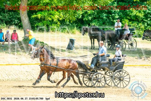 Mintakép 20260627-2094
