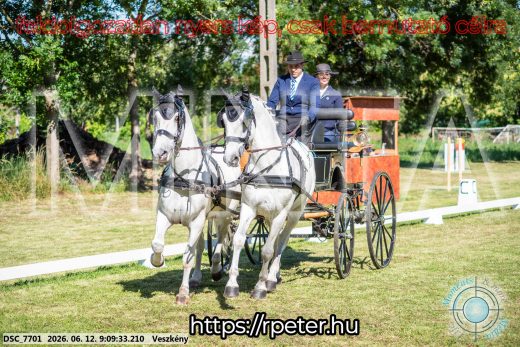 Mintakép 20260612-46