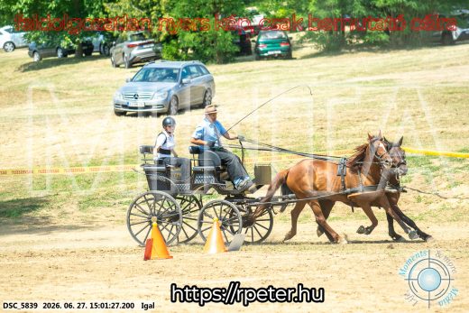 Mintakép 20260627-2095
