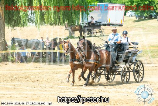 Mintakép 20260627-2096