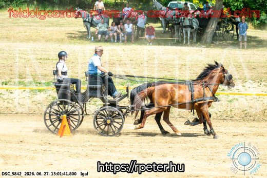 Mintakép 20260627-2097