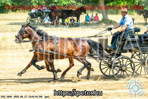 Mintakép 20260627-2099