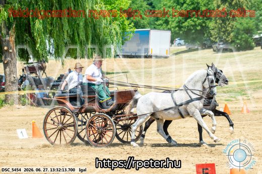 Mintakép 20260627-2118