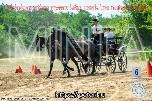 Mintakép 20260627-2156