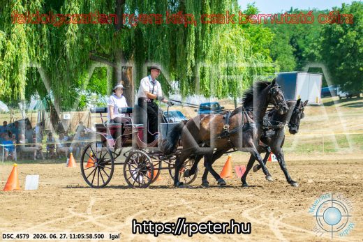 Mintakép 20260627-2160