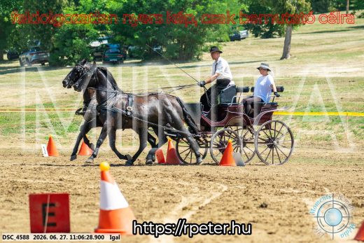 Mintakép 20260627-2166