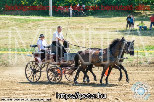 Mintakép 20260627-2169