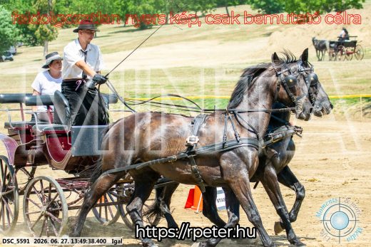 Mintakép 20260627-2173