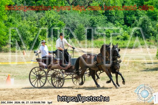 Mintakép 20260627-2175