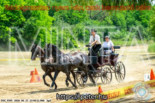Mintakép 20260627-2176