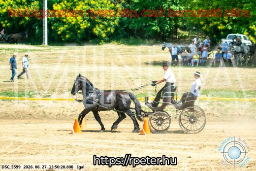 Mintakép 20260627-2178