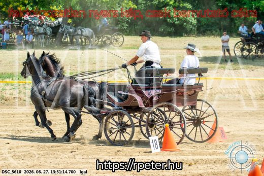 Mintakép 20260627-2183