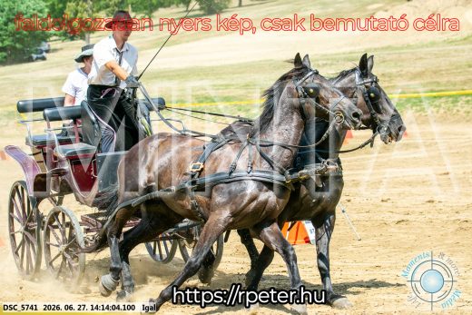 Mintakép 20260627-2190