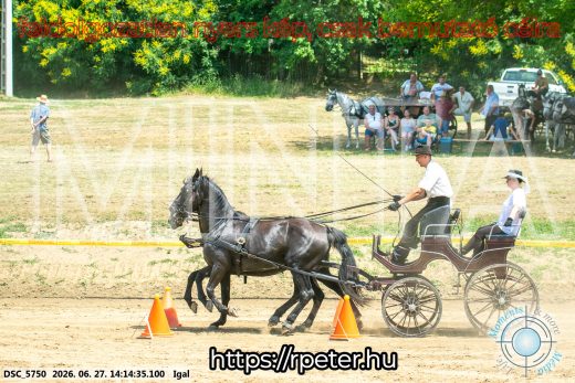 Mintakép 20260627-2196