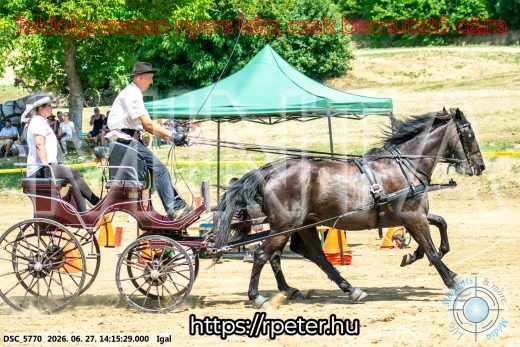 Mintakép 20260627-2211