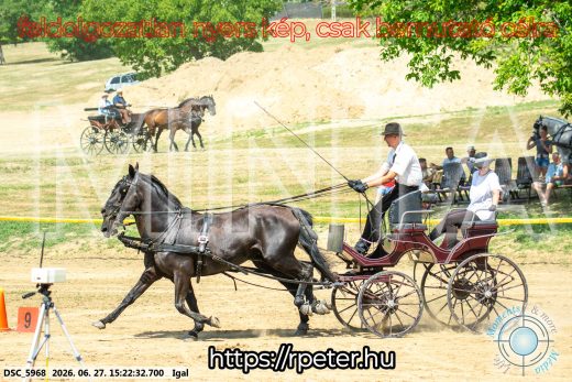 Mintakép 20260627-2218