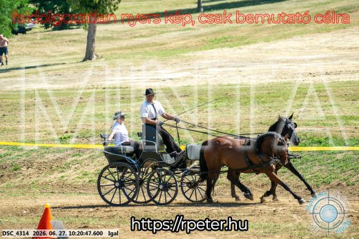 20260627-102047-DSC_4314.jpg