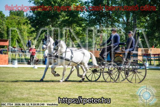 Mintakép 20260612-62