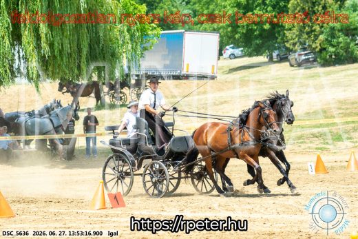 Mintakép 20260627-2257