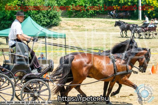 Mintakép 20260627-2260
