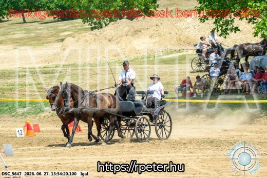 Mintakép 20260627-2264