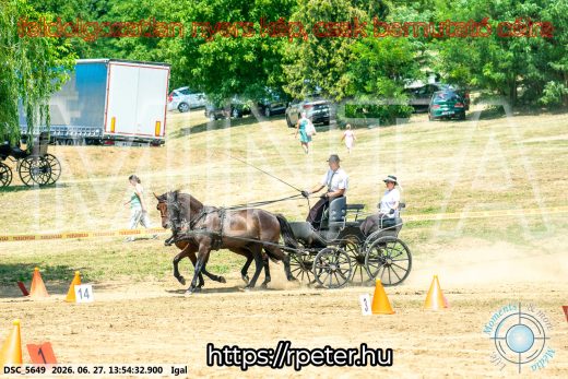 Mintakép 20260627-2266