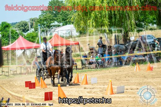 Mintakép 20260627-2268