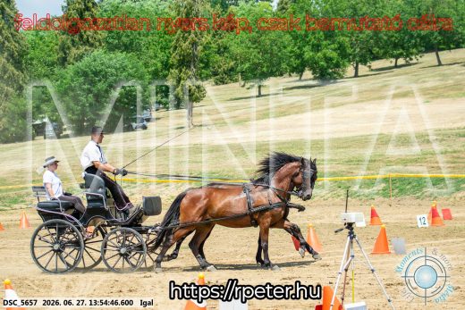 Mintakép 20260627-2270