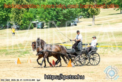 Mintakép 20260627-2274