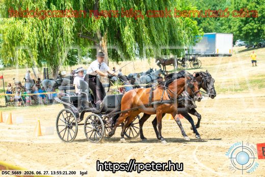 Mintakép 20260627-2278