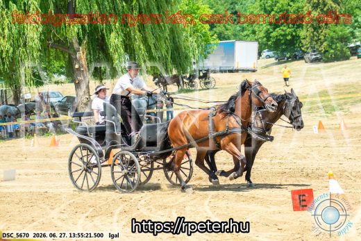 Mintakép 20260627-2279