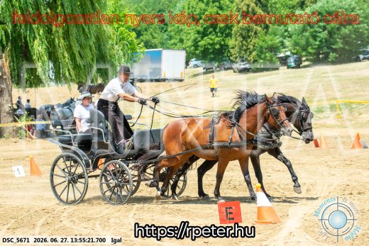 Mintakép 20260627-2280