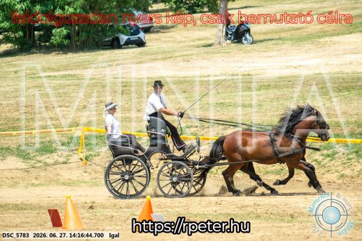 Mintakép 20260627-2288