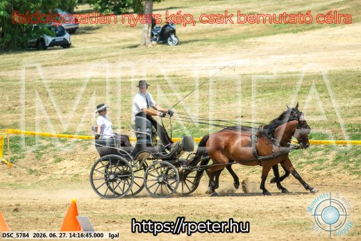 Mintakép 20260627-2289