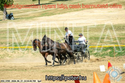 Mintakép 20260627-2290