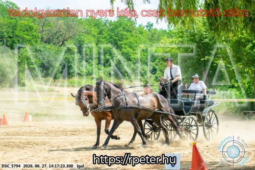 Mintakép 20260627-2295