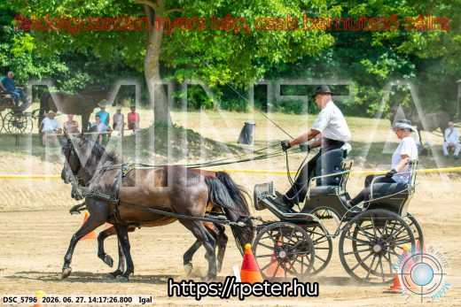 Mintakép 20260627-2297
