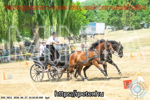 Mintakép 20260627-2307
