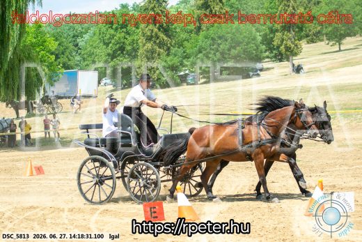 Mintakép 20260627-2308