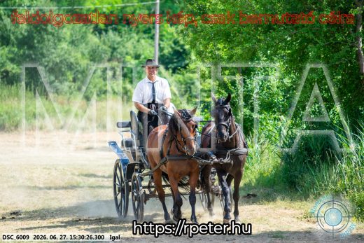Mintakép 20260627-2310