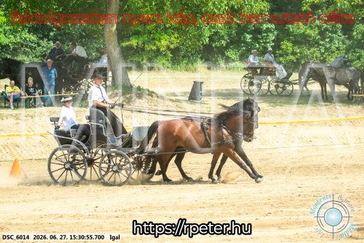 Mintakép 20260627-2314